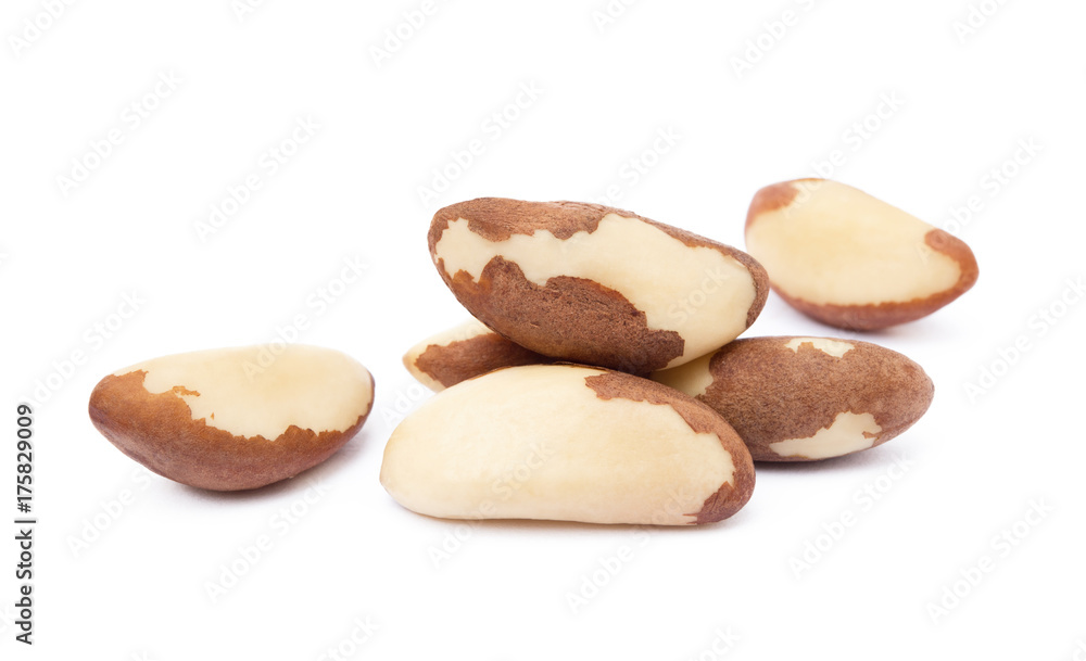 Fototapeta premium Para nuts isolated on a white background