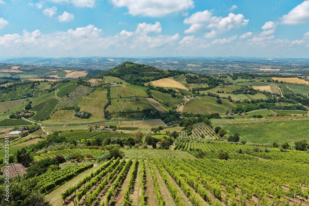 Typical Italian landscape in Tuscany Typical Italian landscape in Tuscany
