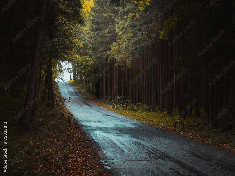Obraz premium Strraße durch herbstlichen Wald nach Regenschauer