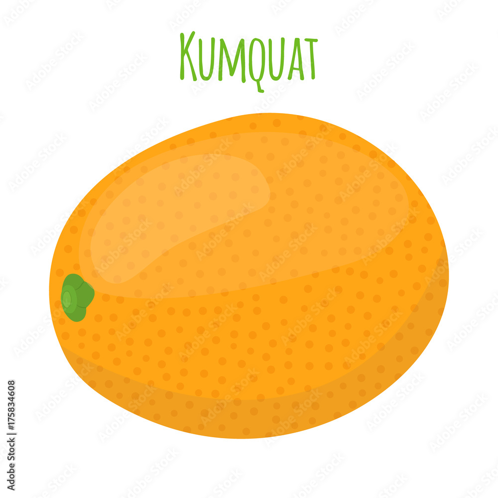 Tropical kumquat, exotic fruit. Cartoon flat style. Vector illustration Tropical kumquat, exotic fruit. Cartoon flat style. Vector illustration