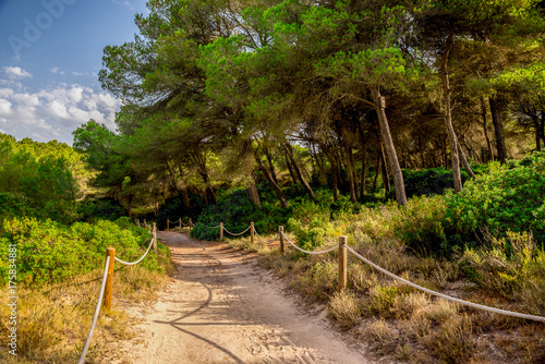 A rope fenced walking path through a small natural reserve in Alcudia photo