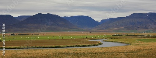River, green meadow and mountains near Saudarkrokur, Iceland. Cloudy late summer day.
 photo
