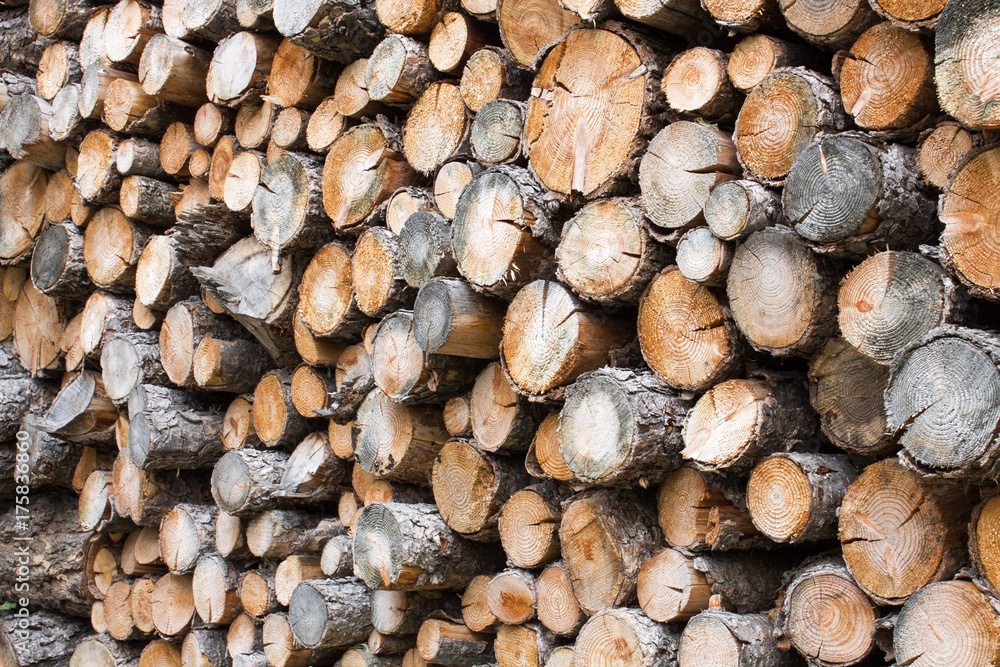 Firewood of colored log pile background texture Firewood of colored log pile background texture