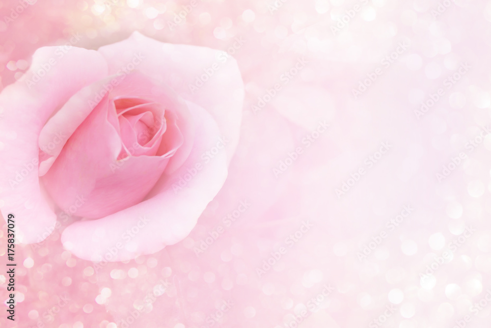soft pink flower background and glitter light with copy space for valentine  or wedding card Stock Photo | Adobe Stock