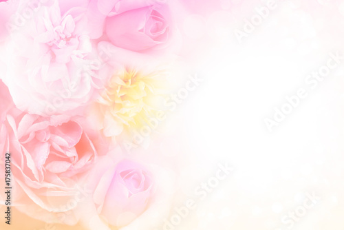 beautiful soft pink purple and yellow roses background in pastel tone for valentine or wedding card © doucefleur