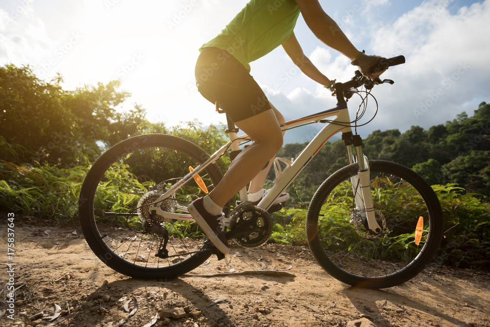 woman cyclist cycling on summer forest trail woman cyclist cycling on summer forest trail