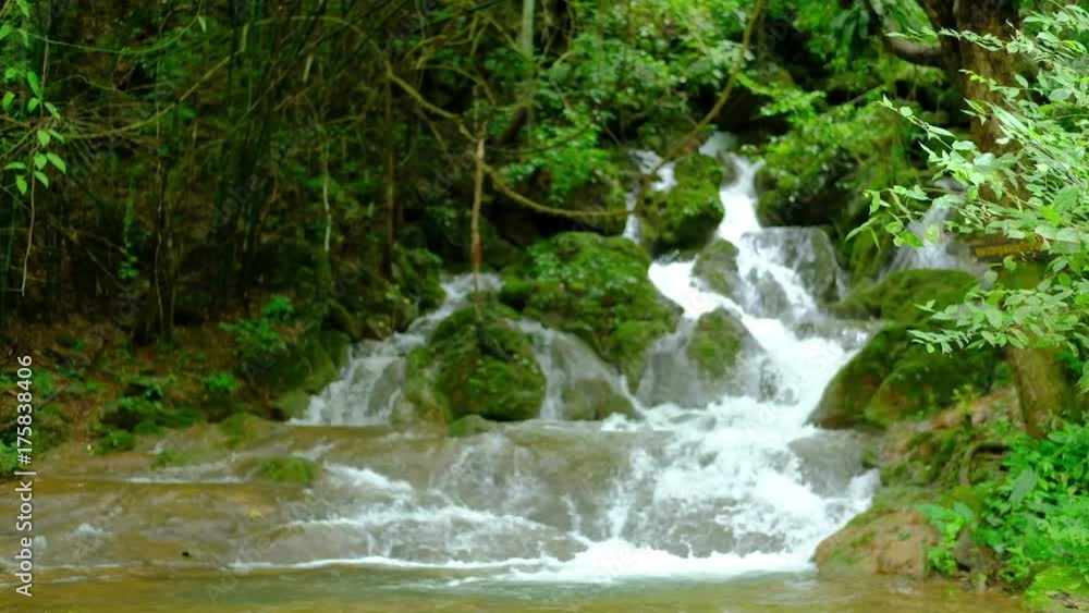 water flowing on rock in mountain creek. natural landscape of stream in waterfall. cascade in forest water flowing on rock in mountain creek. natural landscape of stream in waterfall. cascade in forest