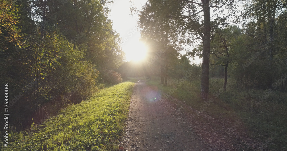 Obraz premium pov walk shot in wild park in september at sunset