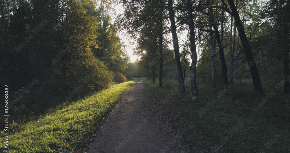 pov walk shot in wild park in september at sunset