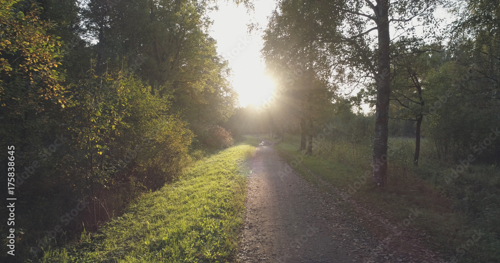 Obraz premium pov walk shot in wild park in september at sunset