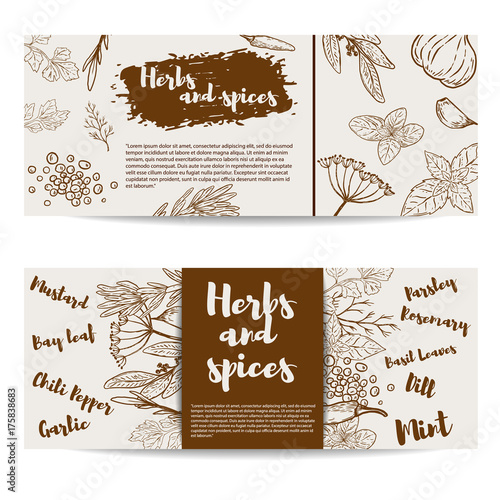 Herbs and spices. Design element forflyer, banner, poster. Vector illustration.