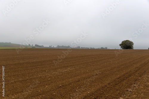 Paysage agricole d automne  