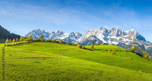 Idyllic austrian landscape in autumn, Kitzbühel, Tyrol, Austria