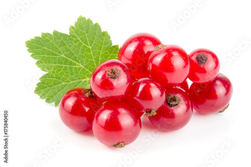 Red currant berries with leaf isolated on white background