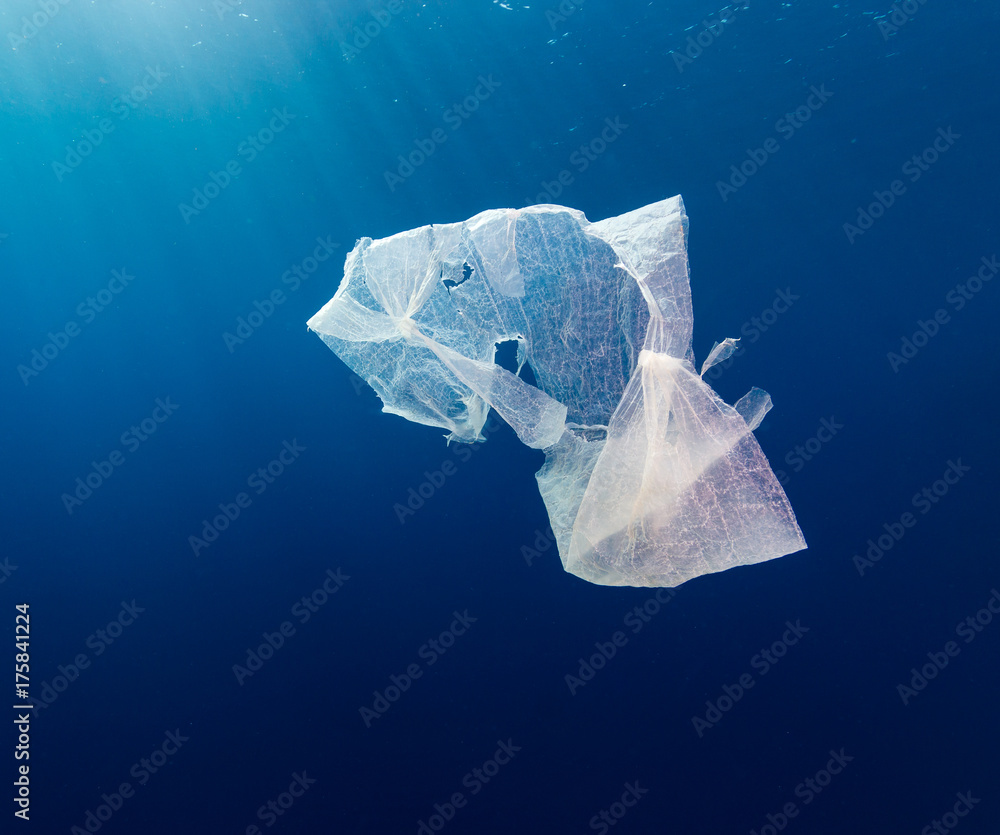 A discarded plastic bag floating in open ocean. Plastic pollution is a ...