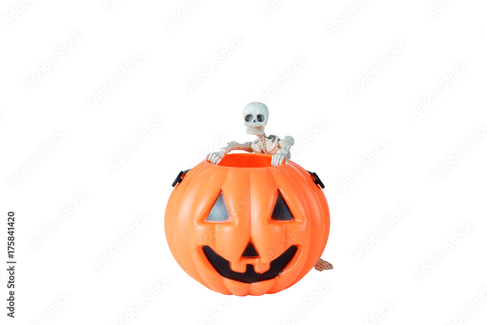 Obraz premium Halloween concept : Plastic human skeleton model leaning against plastic Halloween Pumpkin buckets isolated on white background