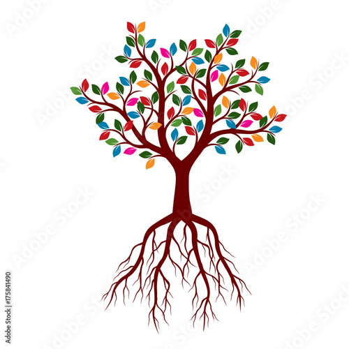 Beauliful Tree with color Leaves. Vector Illustration. photo