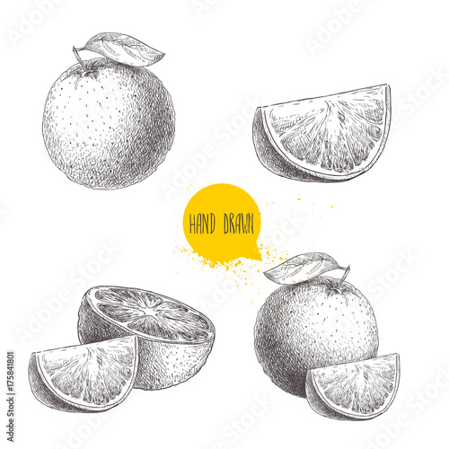 Hand drawn sketch style orange fruit compositions set. Whole fruit and slices. Vector citrus fruit illustration isolated on white background.
