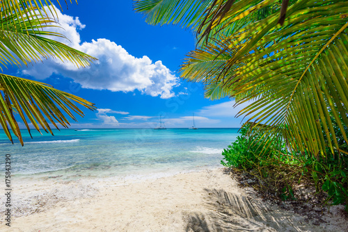 Fototapeta Naklejka Na Ścianę i Meble -  palm beach chaise longue