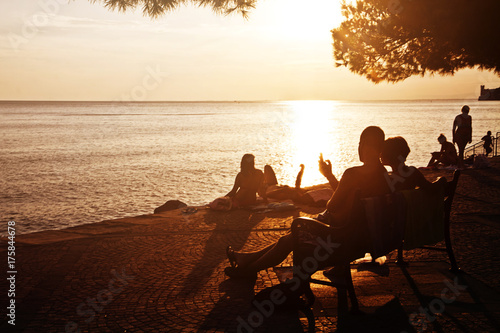 people silhouettes at sunset relaxing under a pine tree on the sea promenade of Barcola in Trieste, Italy