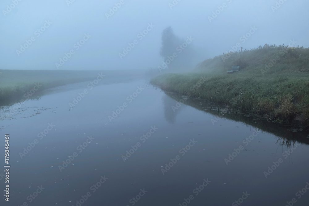 Stream with trees in mist on early morning.