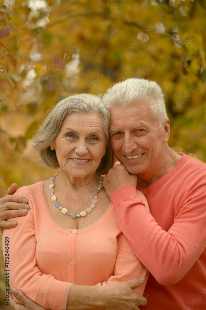 senior couple hugging   in the park 