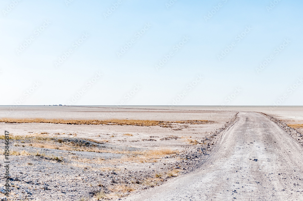 Road to the viewpoint on the Etosha Pan