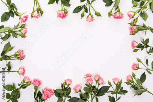 Round frame with pink flower roses buds, branches and leaves isolated on white background. lay flat, top view photo