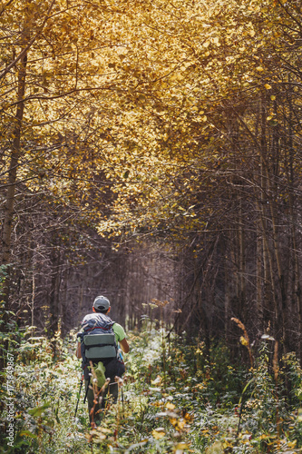 Back of traveler with backpack walking alone in autumn forest