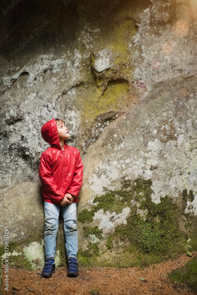 Small boy climbing on the rocks in the forest
