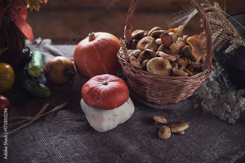 Still life from autumn natu...