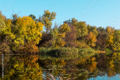 Golden autumn on riverside