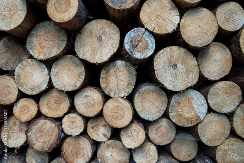 Closeup of chopped firewood