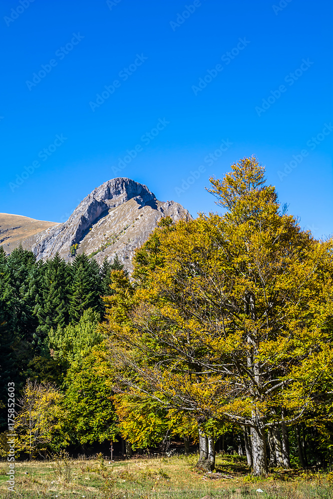 Valle Pesio, Cuneo, autunno