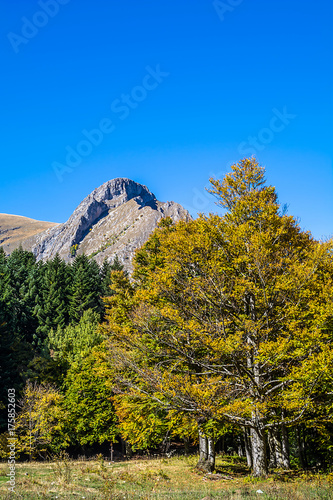 Valle Pesio, Cuneo, autunno