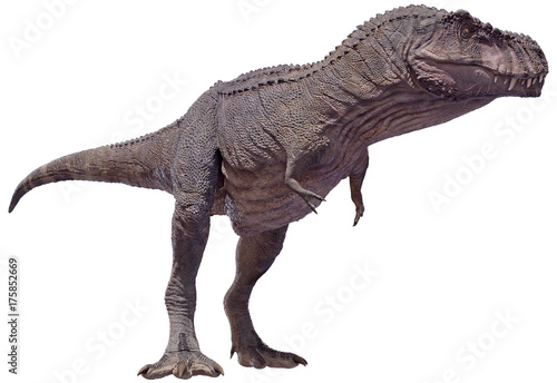 3D rendering of a Tyrannosaurus Rex standing.