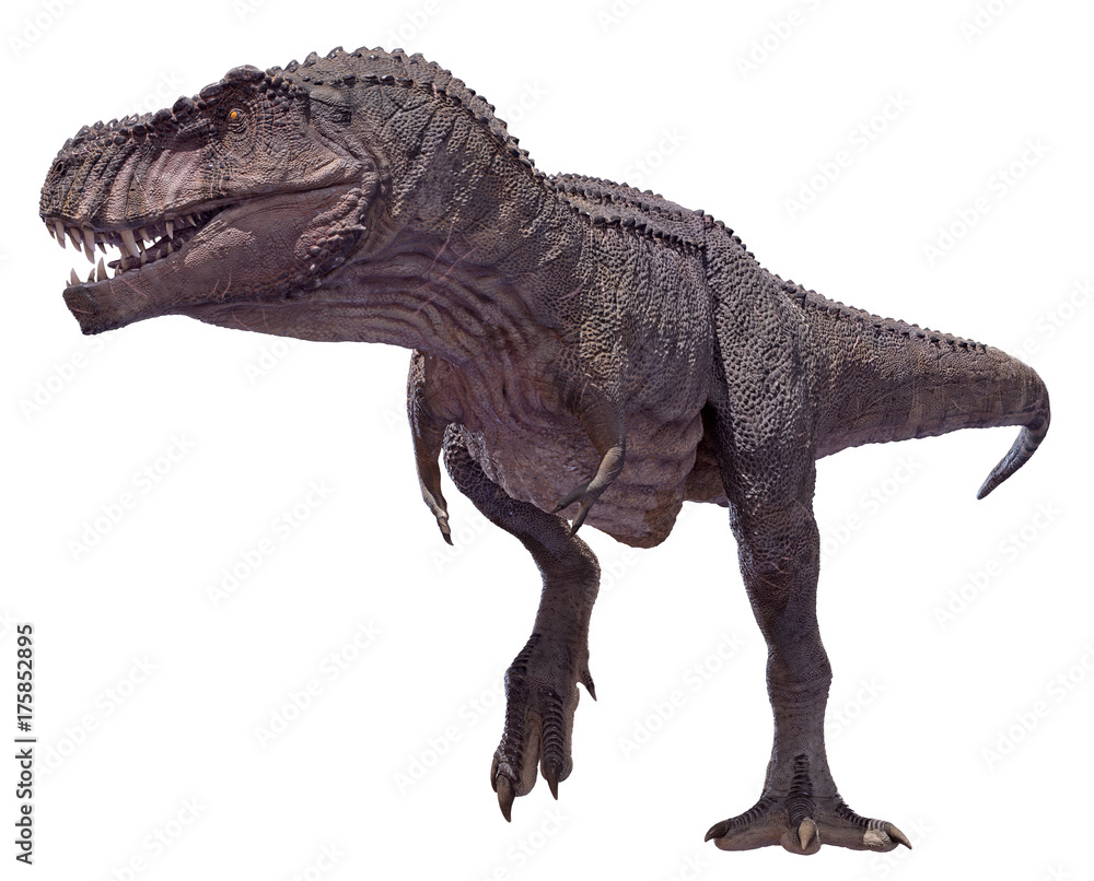 Fototapeta premium Renderowania 3D chodzenia Tyrannosaurus Rex.