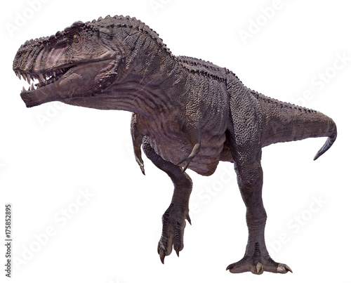 3D rendering of a Tyrannosaurus Rex walking. © Herschel Hoffmeyer