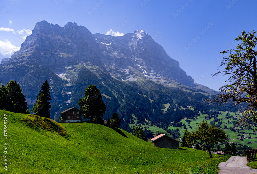 Alpine scene with the Eiger mountain (3970m - 13015ft) in the background. Grindelwald, Bernese Oberland, Switzerland