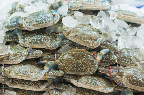 Crabs in the Thai fish seafood market