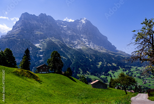 Alpine scene with the Eiger mountain (3970m - 13015ft) in the background. Grindelwald, Bernese Oberland, Switzerland