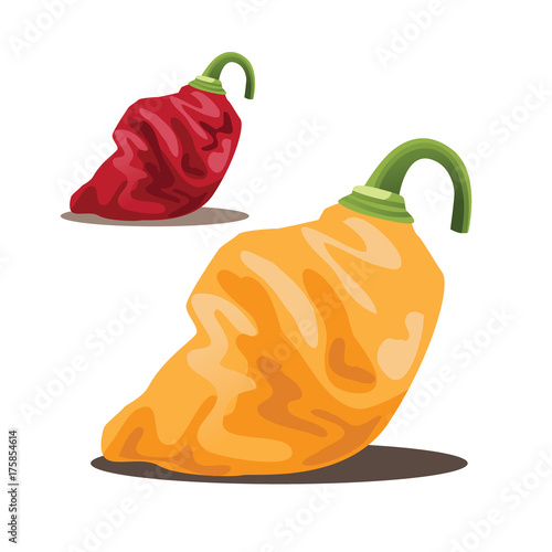 Habanero peppers in red and yellow. EPS 10 vector illustration.