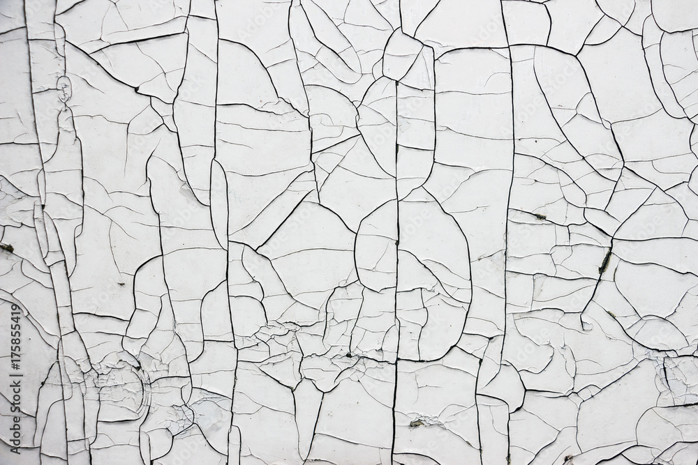 Obraz premium Old Cracked White Paint. Texture for background