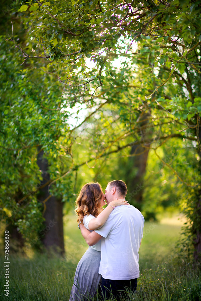 two lovers walk in a field with a tall Tava, hug and kiss two lovers walk in a field with a tall Tava, hug and kiss