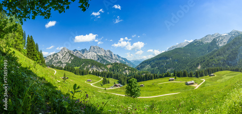 Austrian alpine pasture in summer, Litzlalm, Salzburger Land, Austria