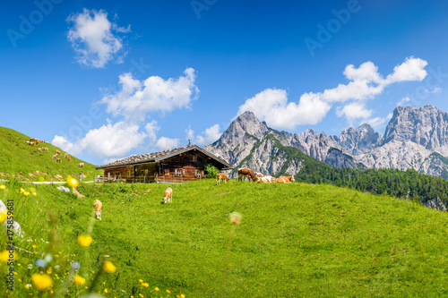 Idyllic alpine cottage in front of impressive mountain range, Litzlalm, Salzburger Land, Austria