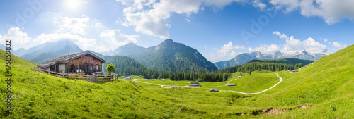 Idyllic austrian alp, Salzburger Land, Austria