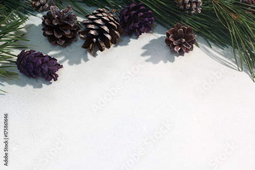 Festive background of winter decoration. Colorful strobilas with pine on white backdrop, free space beneath. Christmas, celebration and New Year decor concept