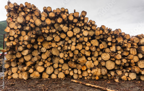 Sawn logs stacked in a pile at the sawmill