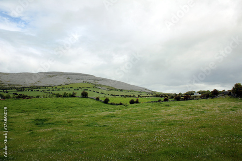 Burren Area (Ireland) limestone 